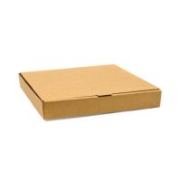 Fiesta Green Compostable Plain Pizza Boxes 14"