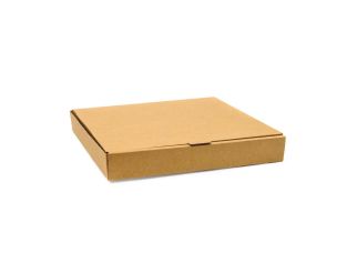 Fiesta Green Compostable Plain Pizza Boxes 14"